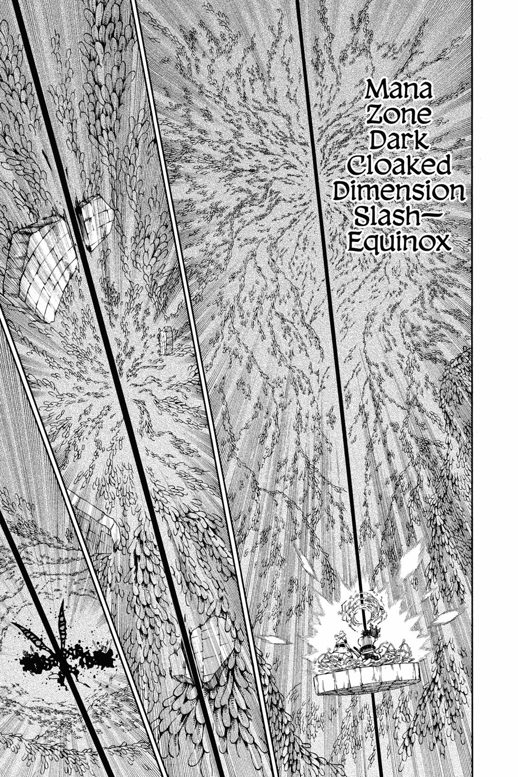 Black Clover,  Page 211 image 13