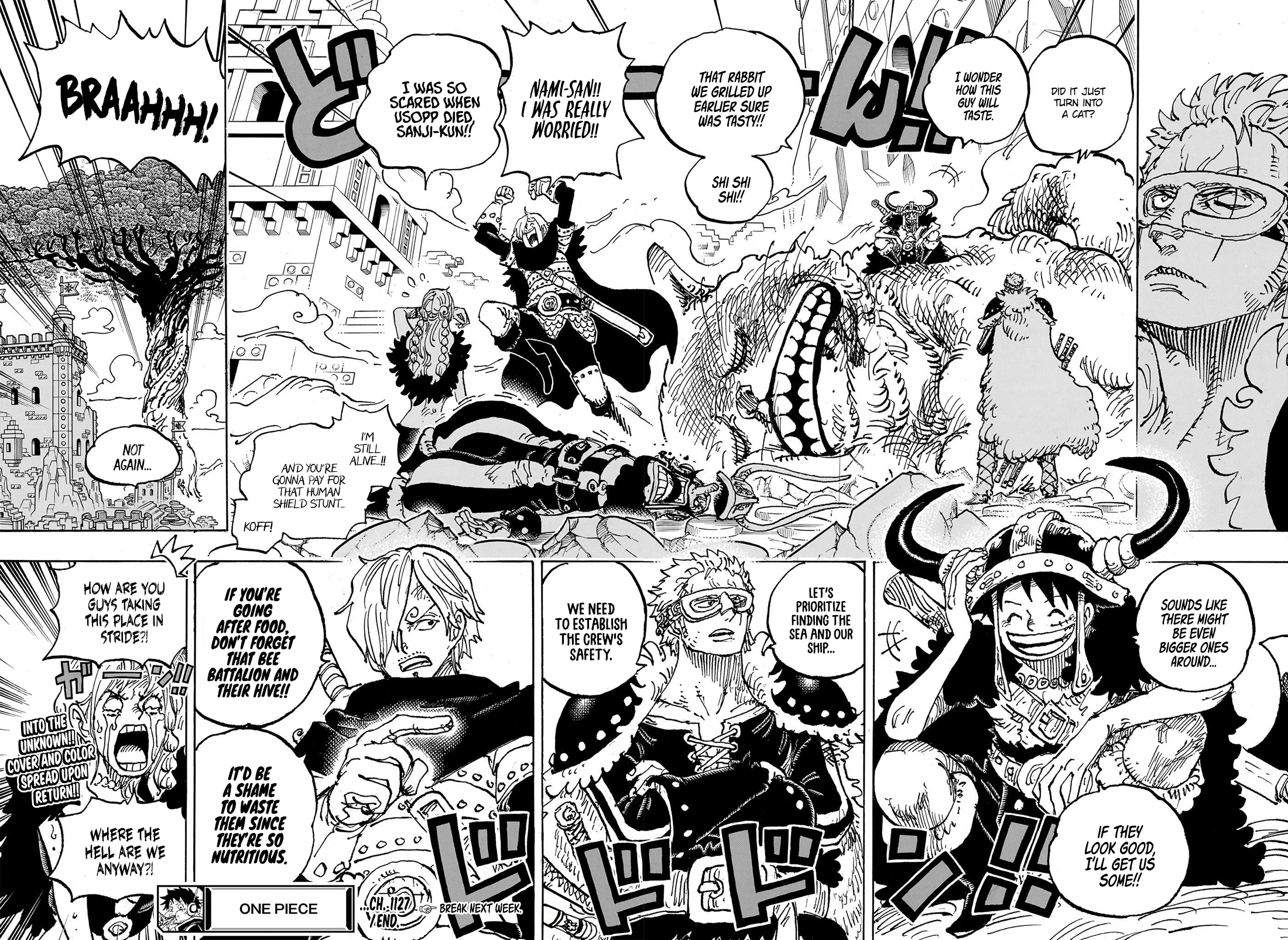One Piece, Chapter 1127 image 14
