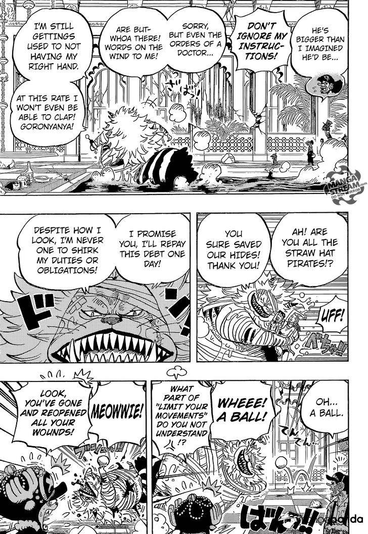 One Piece, chapter 814 image 16