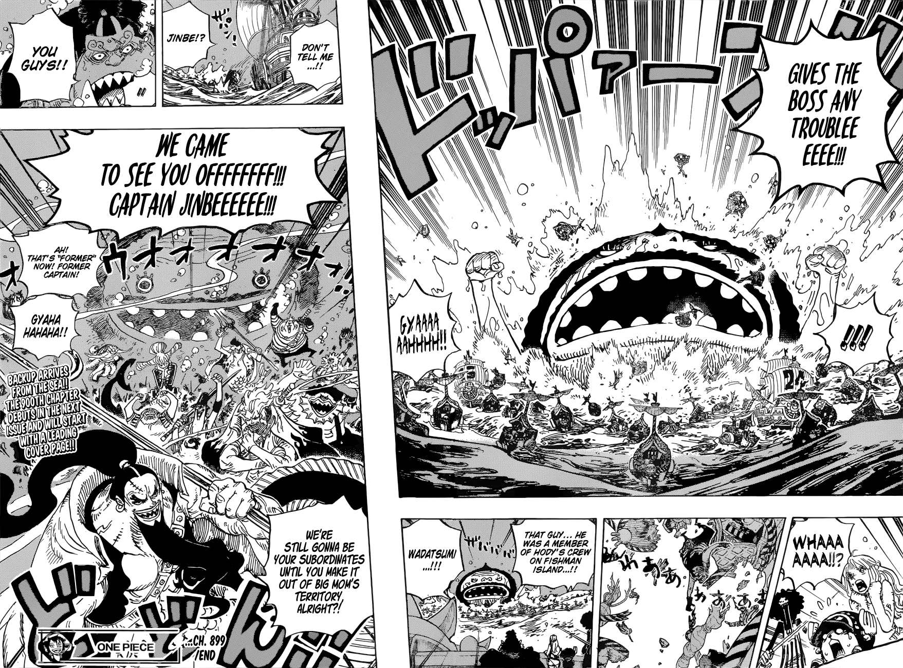 One Piece, chapter 899 image 17