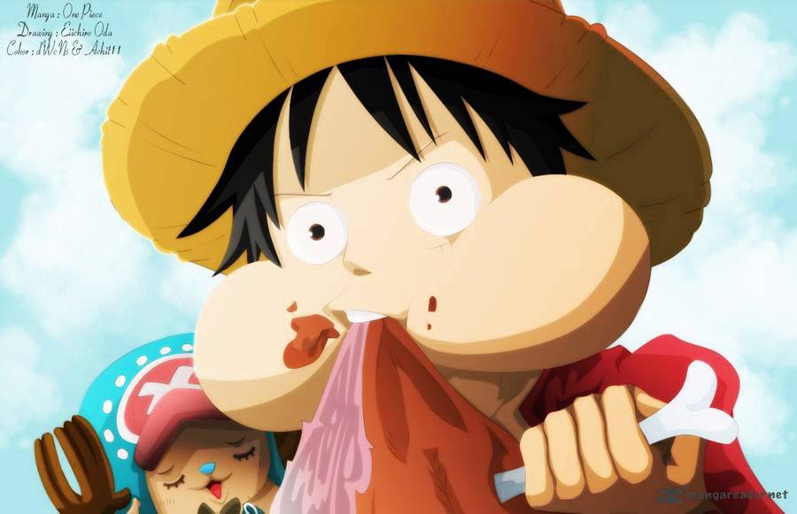 One Piece, chapter 655 image 20