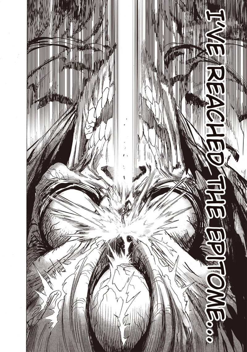One Punch Man, Chapter 159 image 17