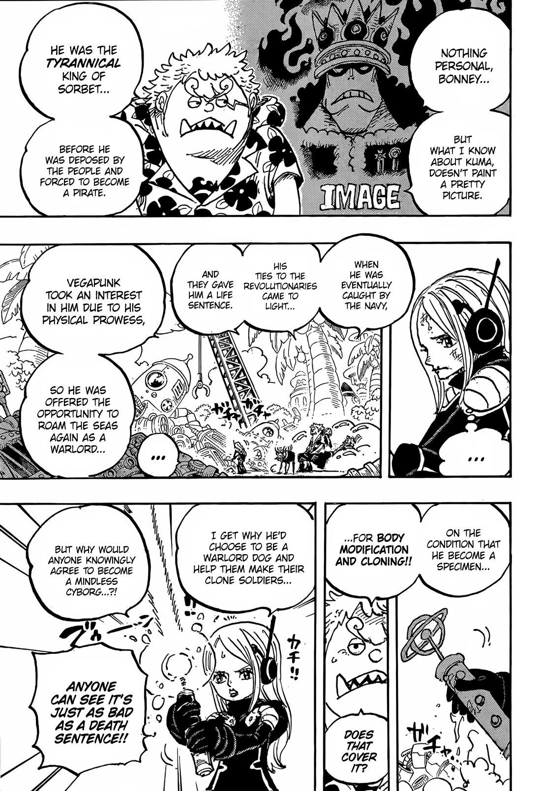 One Piece, chapter 1064 image 10