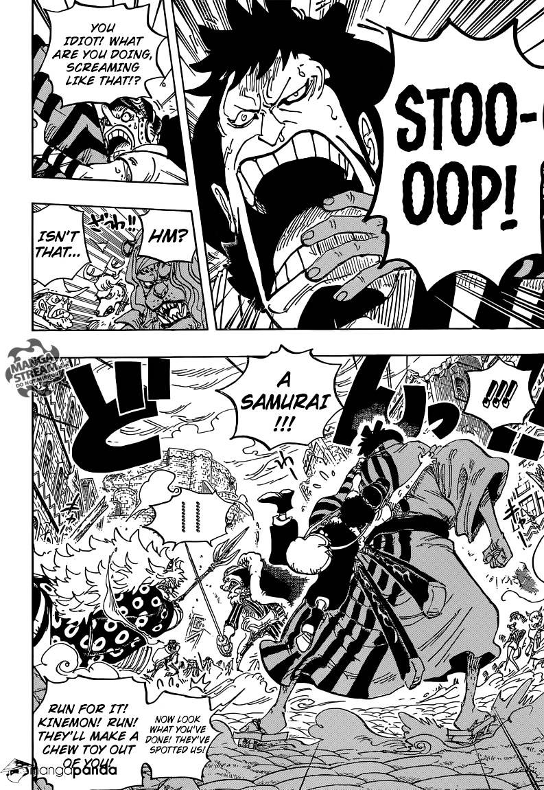 One Piece, chapter 816 image 14