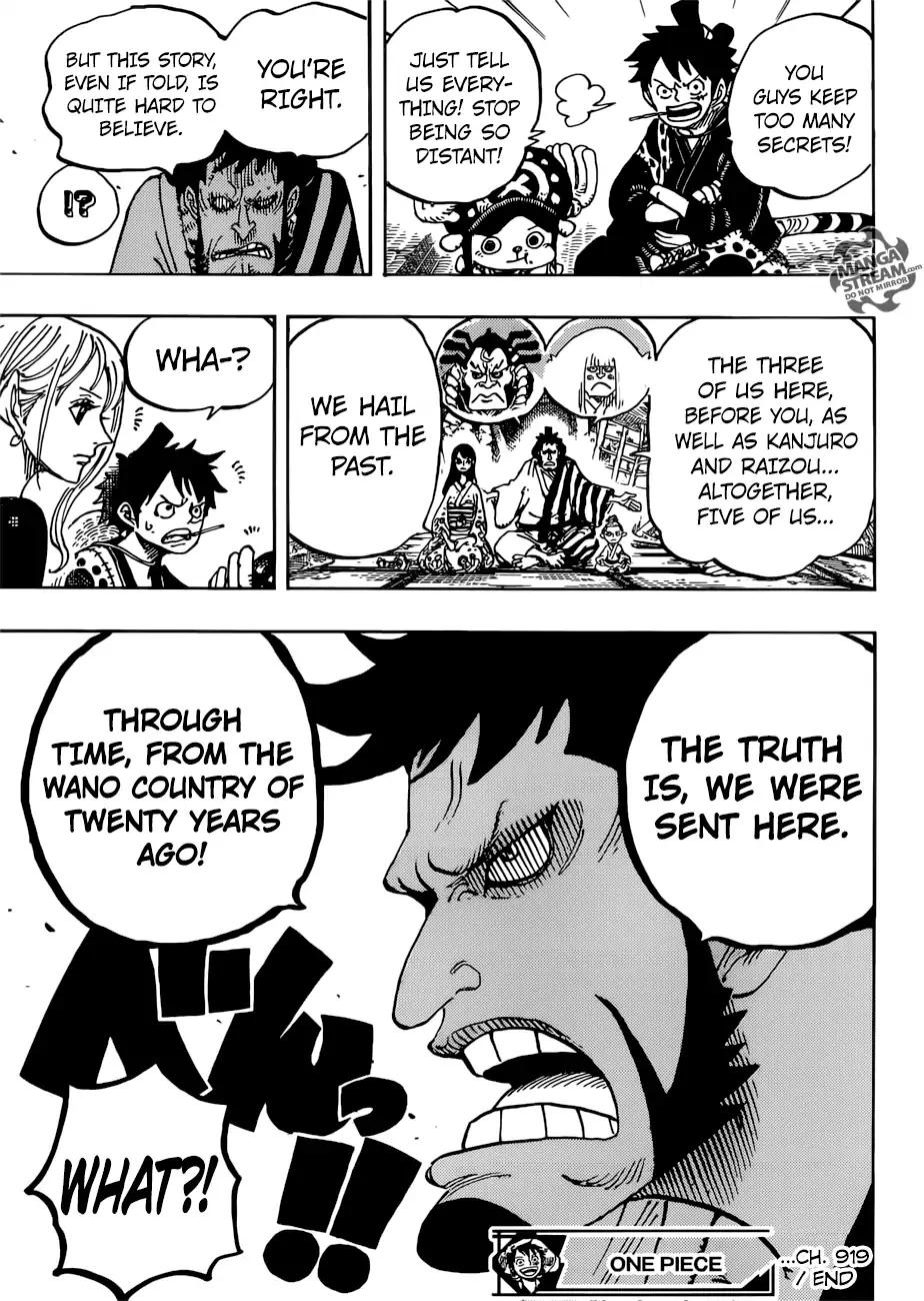 One Piece, chapter 919 image 16