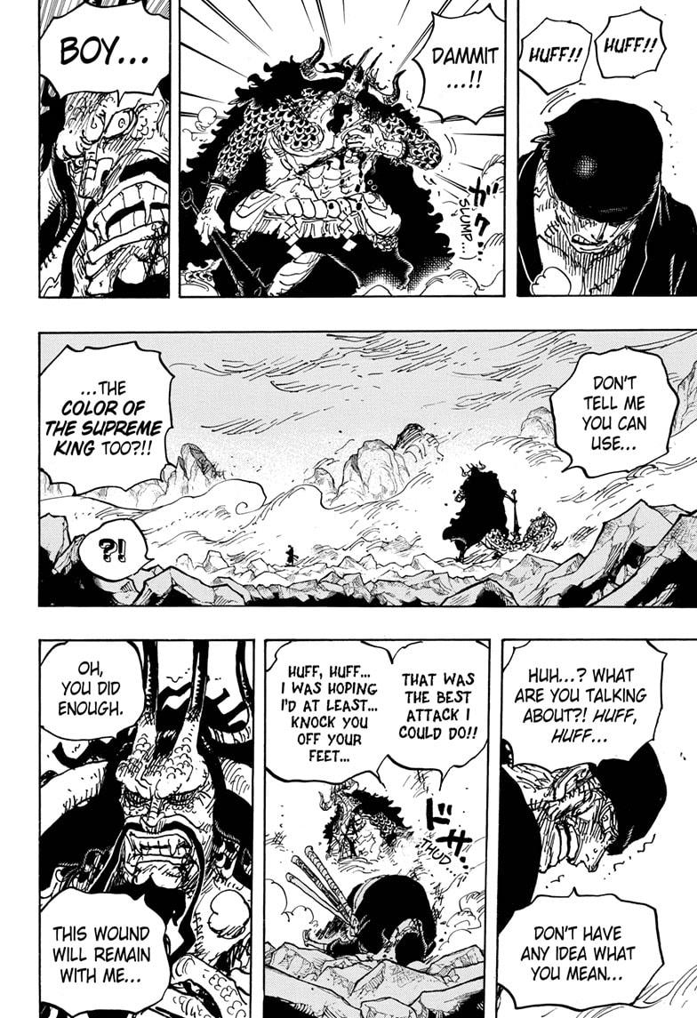 One Piece, chapter 1010 image 09