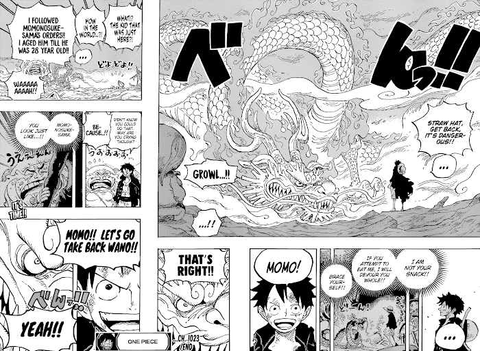 One Piece, chapter 1023 image 18