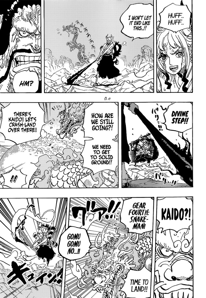 One Piece, chapter 1025 image 13