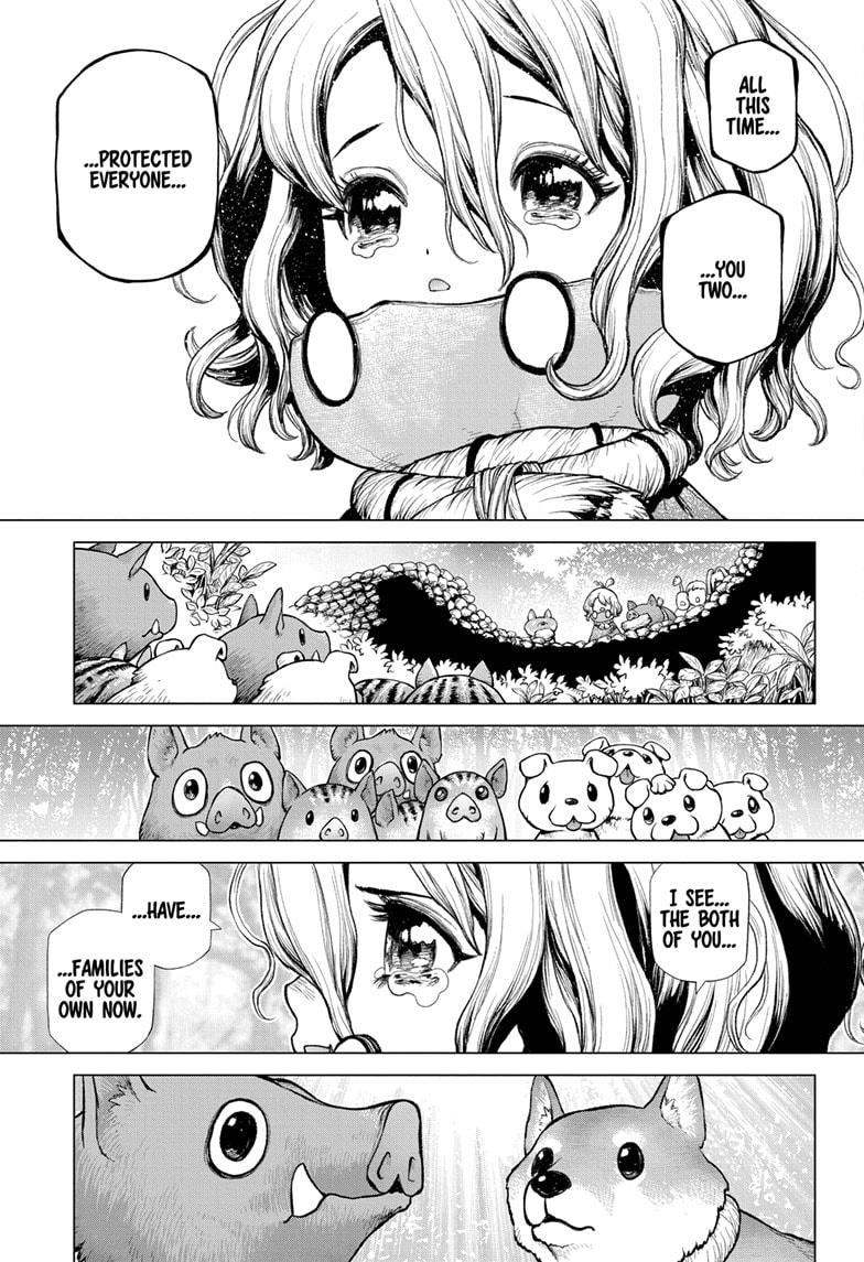 Dr.Stone, Chapter 212 image 13