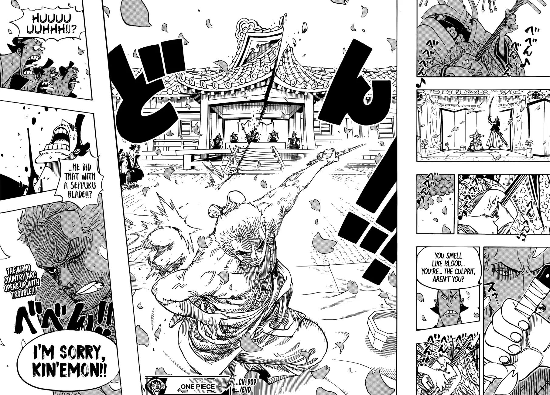 One Piece, chapter 909 image 16