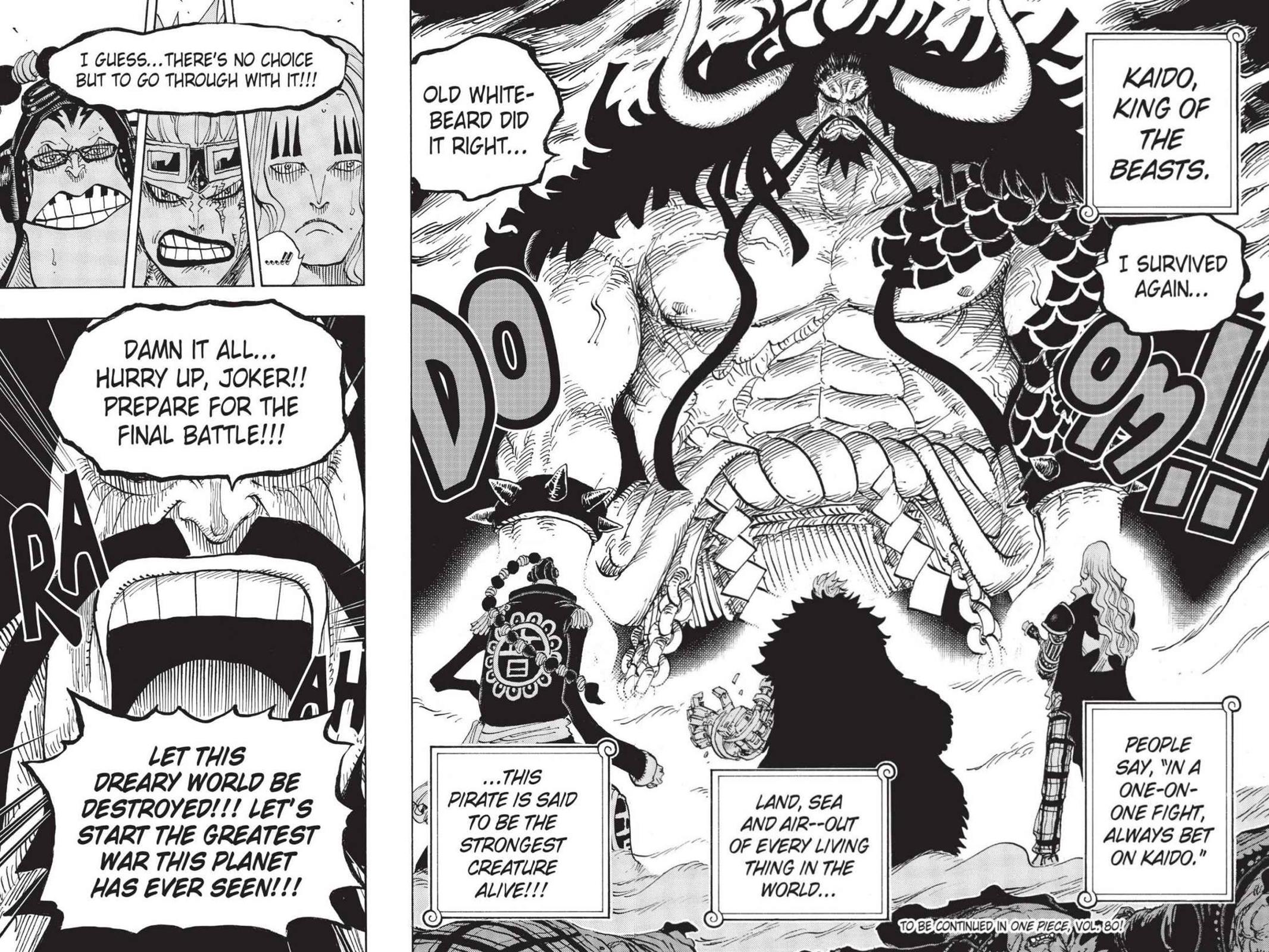 One Piece, Chapter 795 image 16