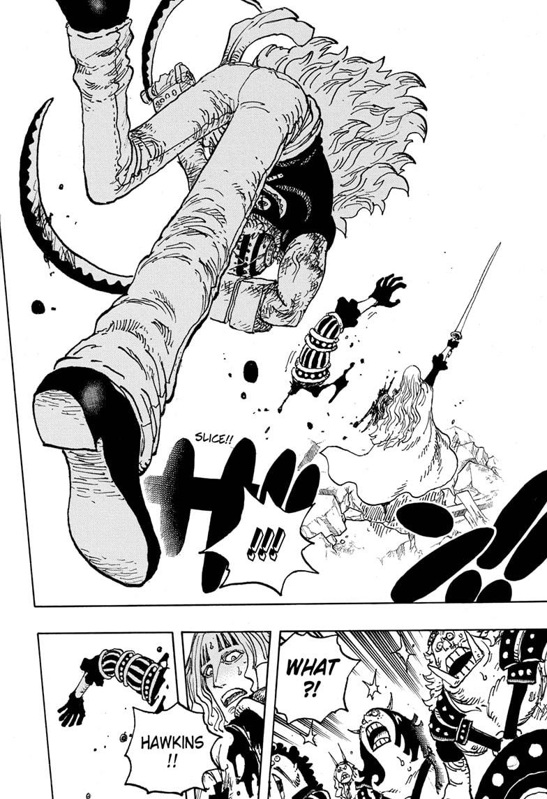 One Piece, Chapter 1029 image 12