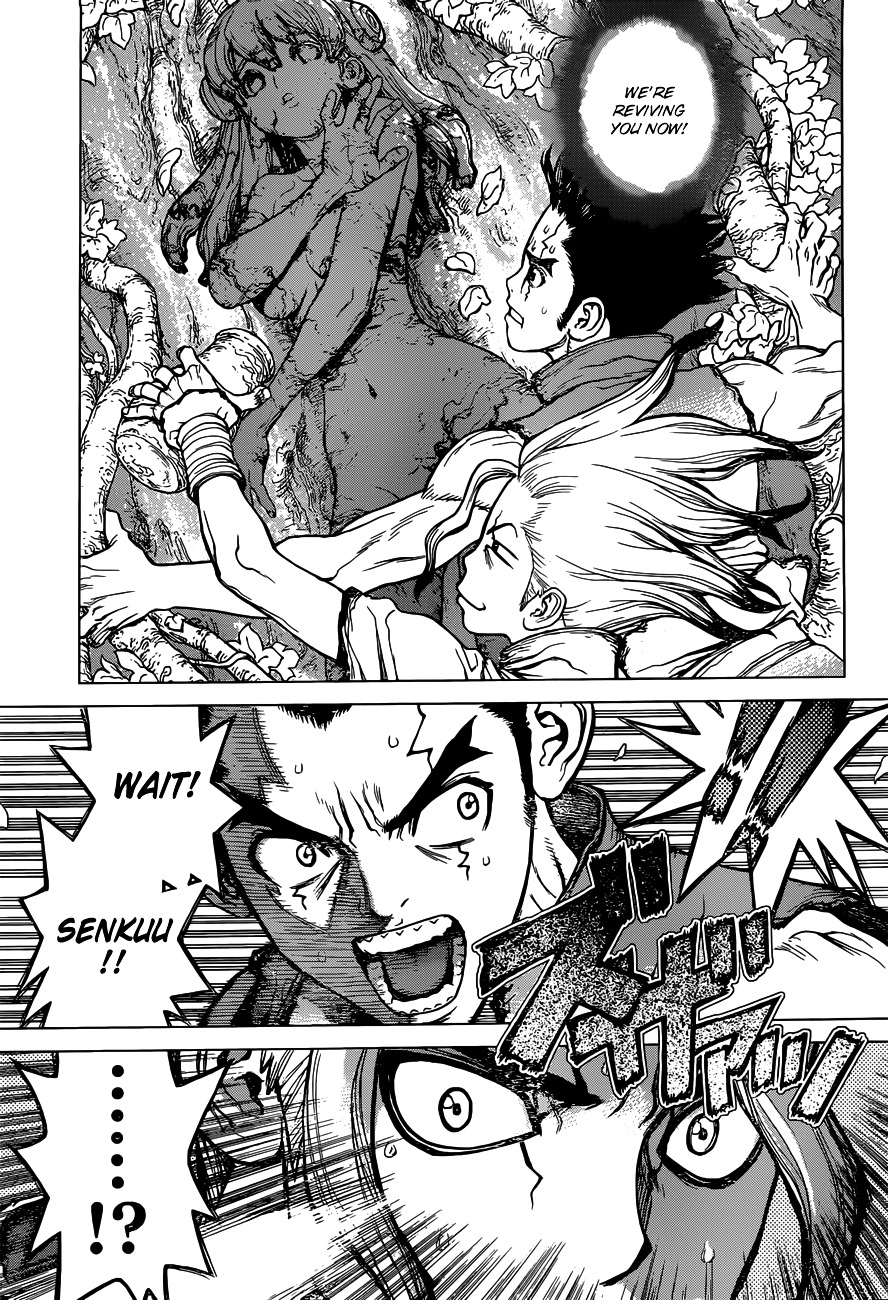 Dr.Stone, Chapter 3  King of the Stone World image 04