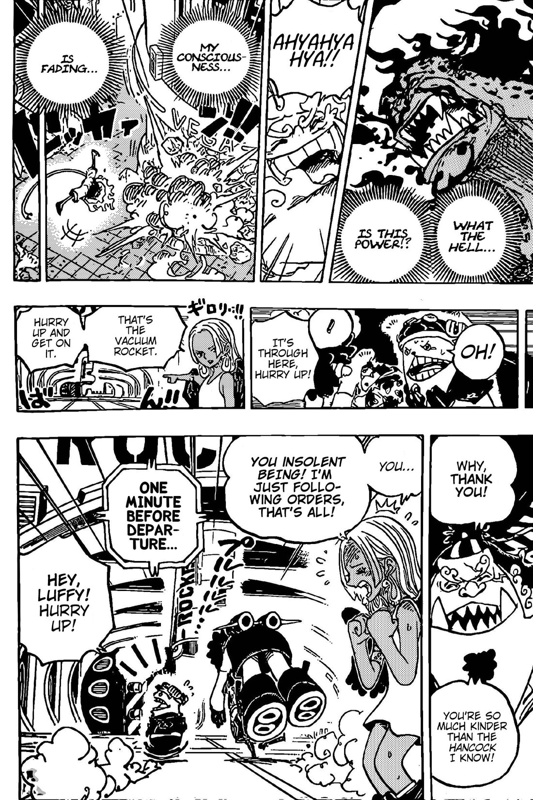 One Piece, chapter 1070 image 12