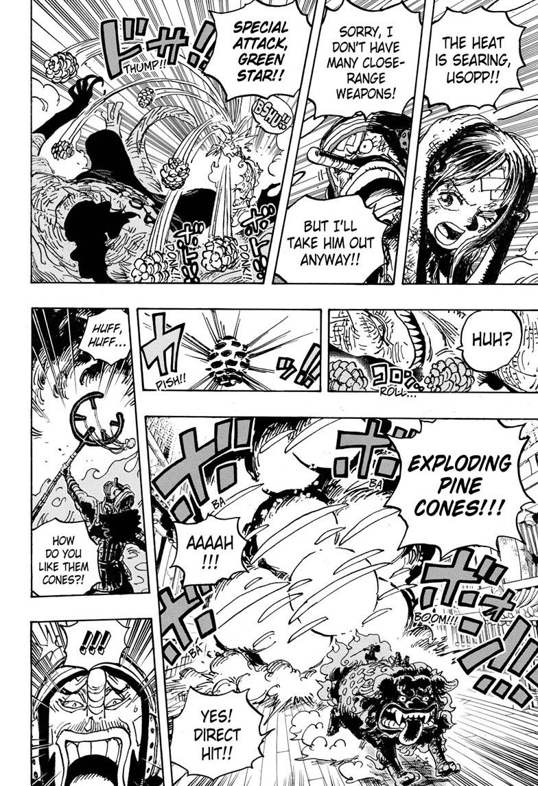 One Piece, chapter 1011 image 14