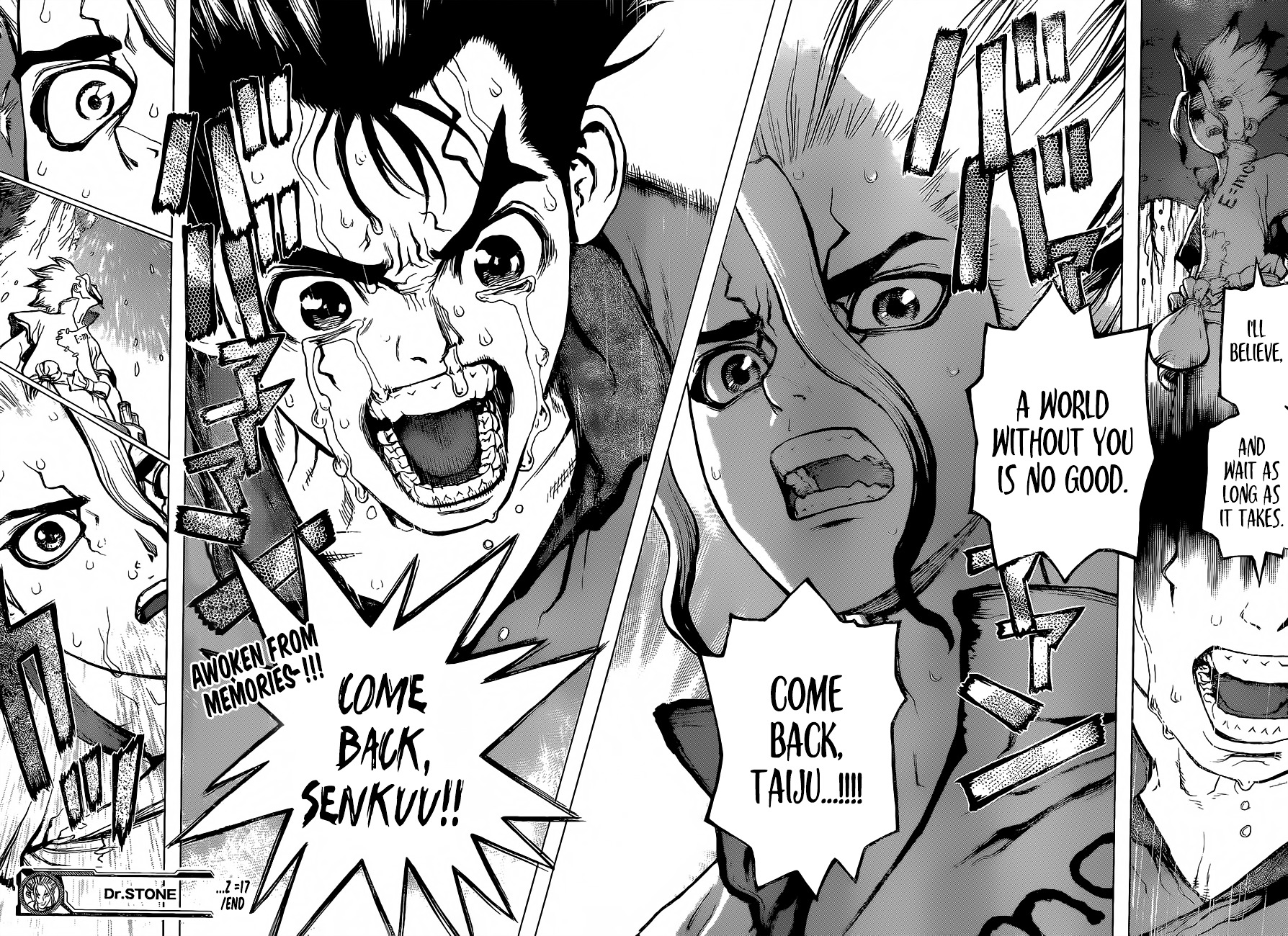 Dr.Stone, Chapter 14  Things Believed In image 18