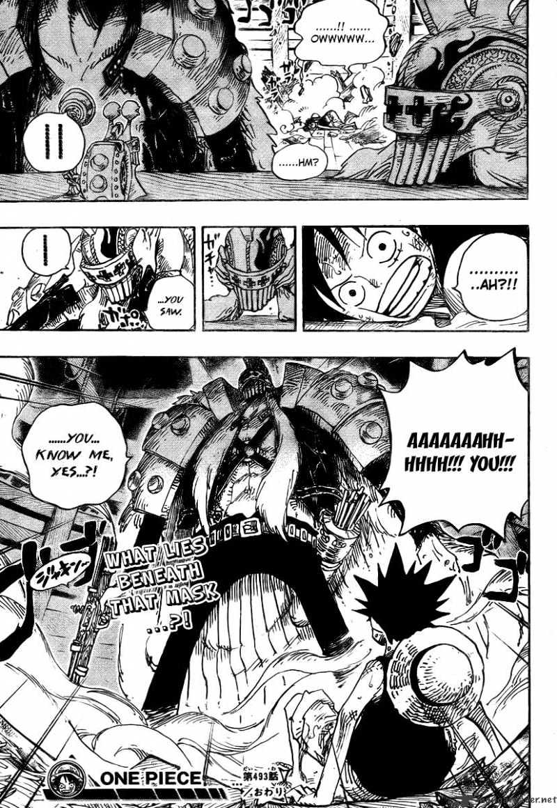 One Piece, chapter 493 image 19