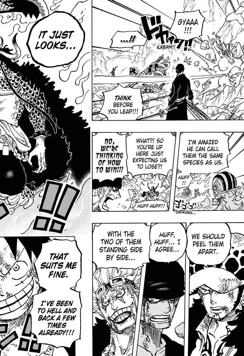 One Piece, chapter 1008 image 16