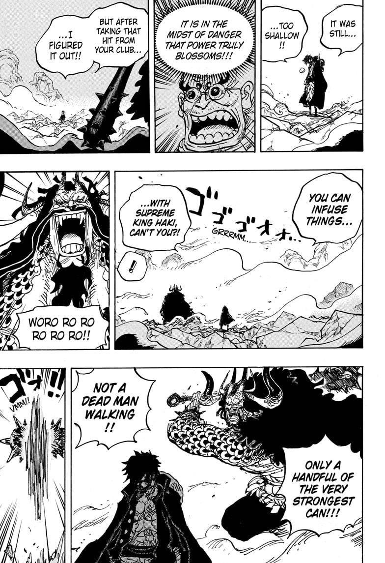 One Piece, chapter 1010 image 12