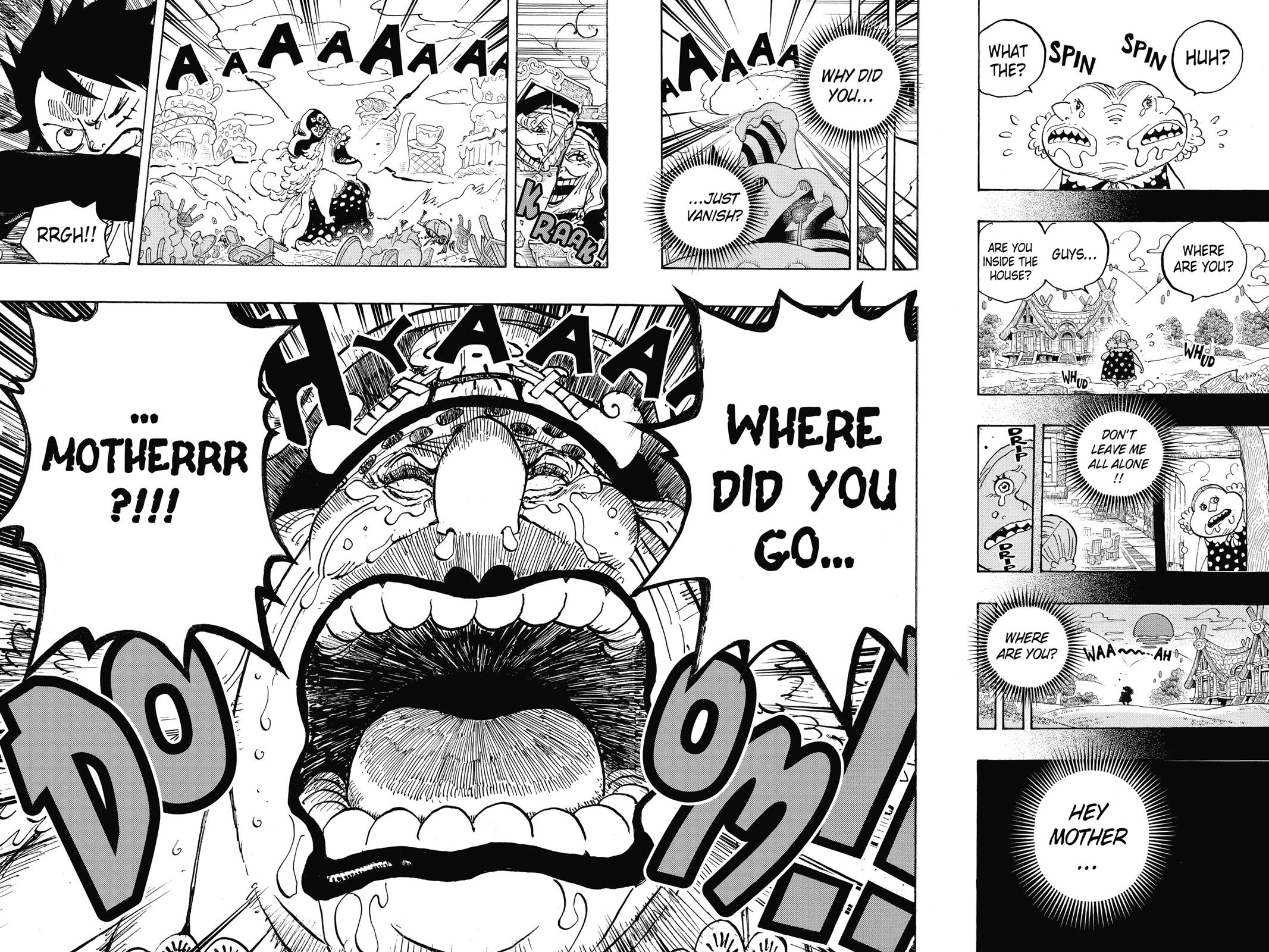 One Piece, Chapter 867 image 14