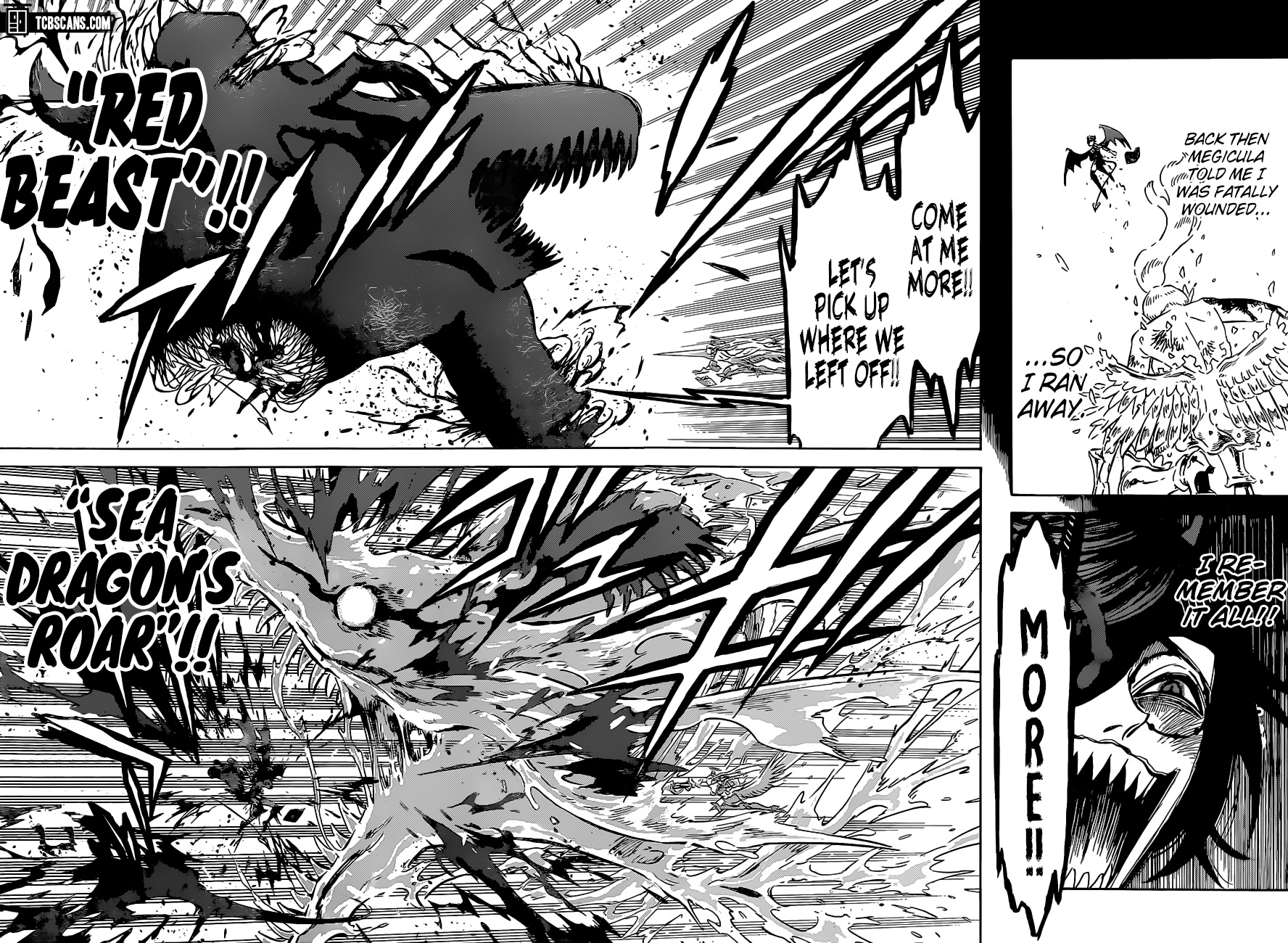 Black Clover, Chapter 296 The Holy War Maiden image 12