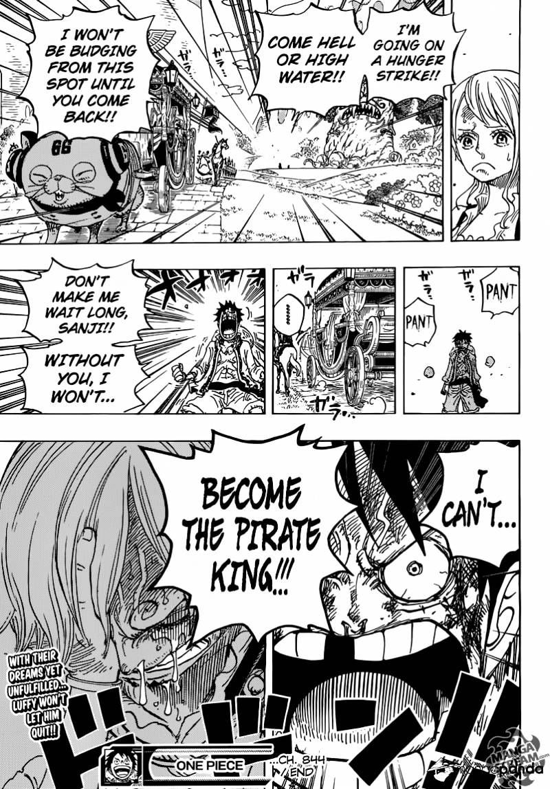 One Piece, chapter 844 image 19