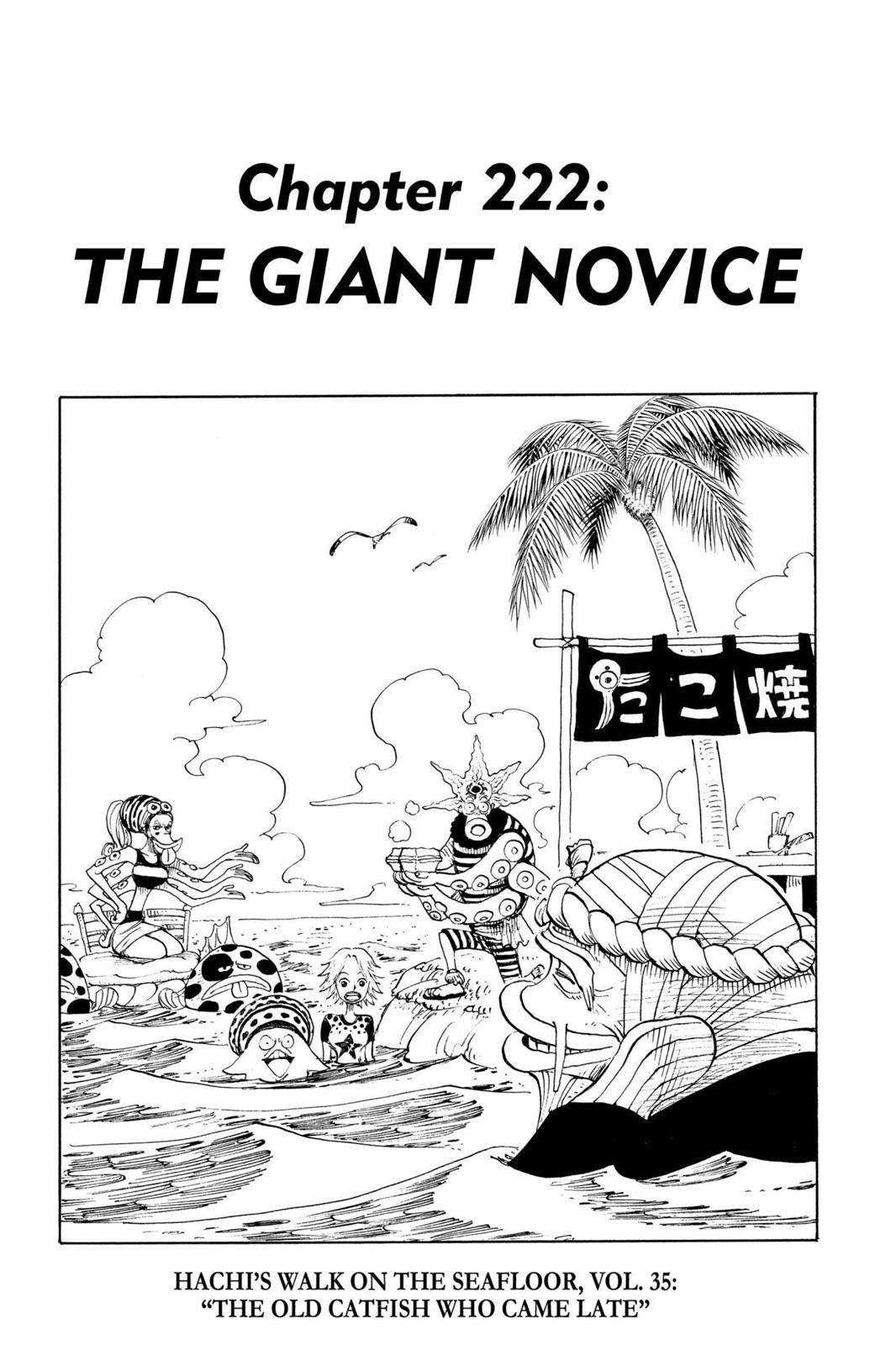 One Piece, Chapter 222 image 01