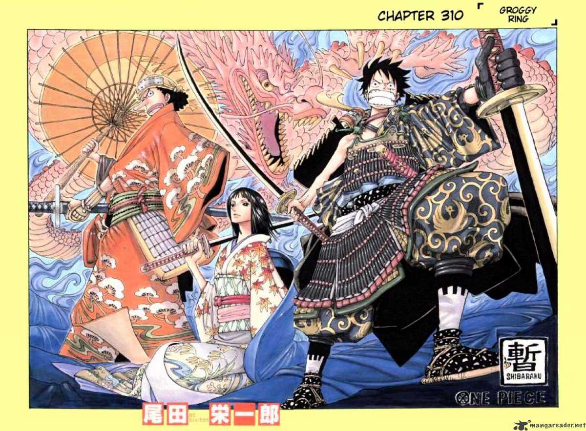 One Piece, chapter 310 image 01