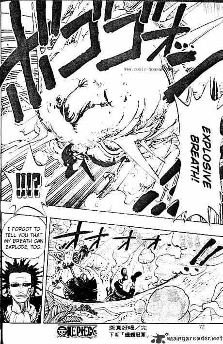 One Piece, chapter 124 image 18