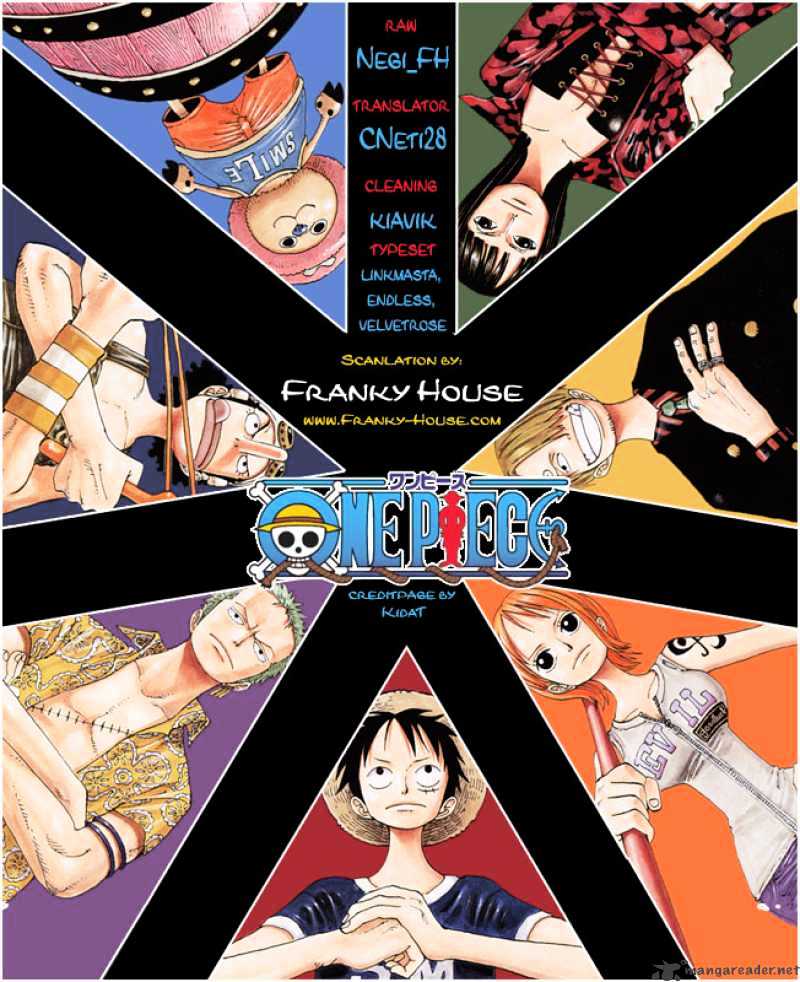 One Piece, chapter 497 image 20