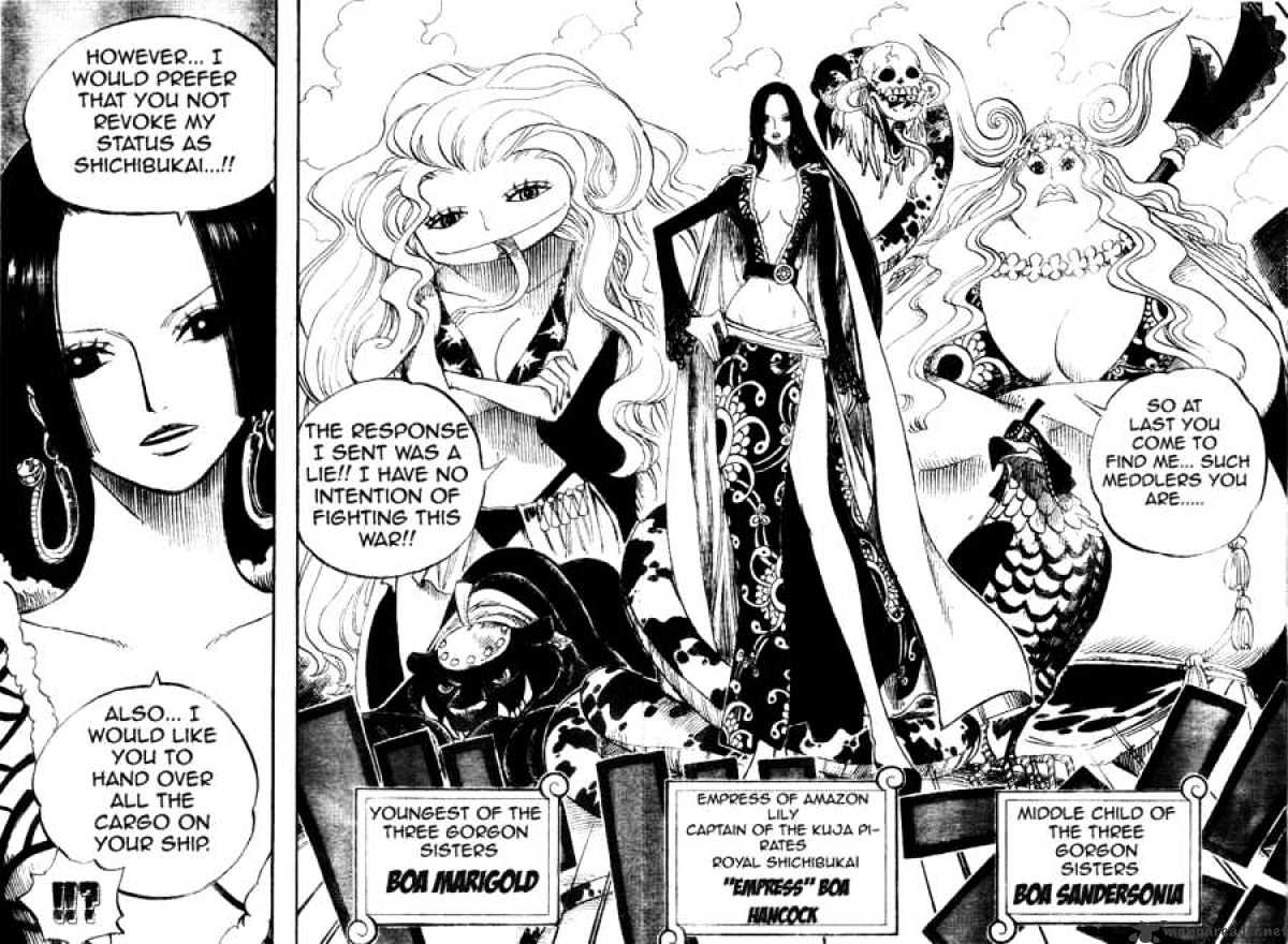 One Piece, chapter 516 image 11