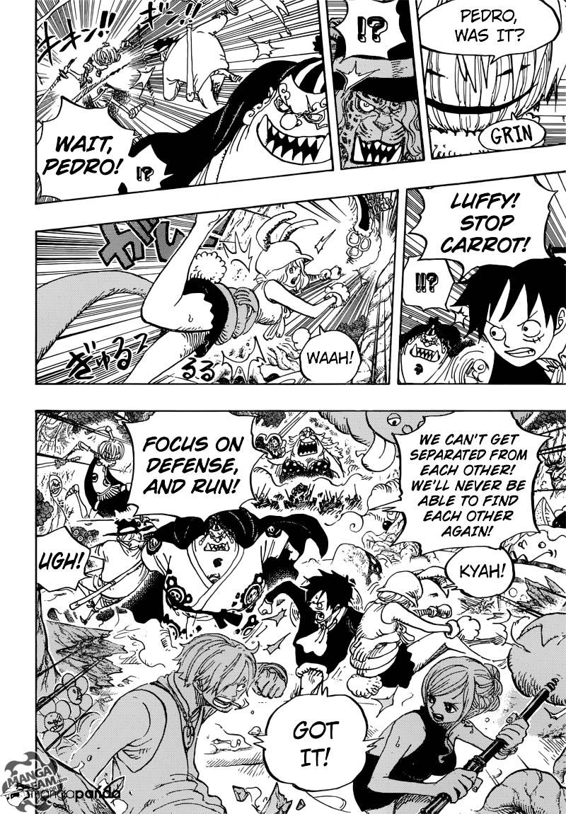 One Piece, chapter 875 image 12