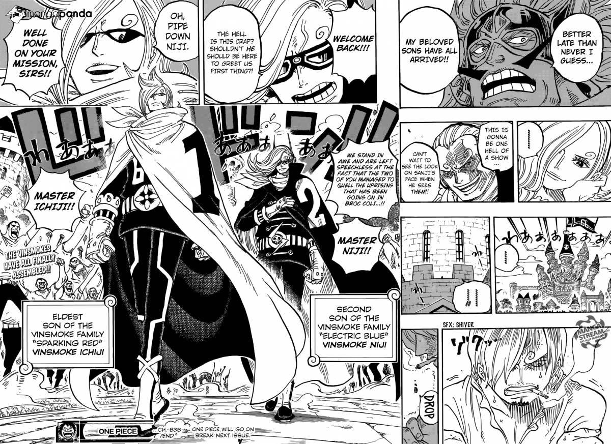One Piece, chapter 838 image 14