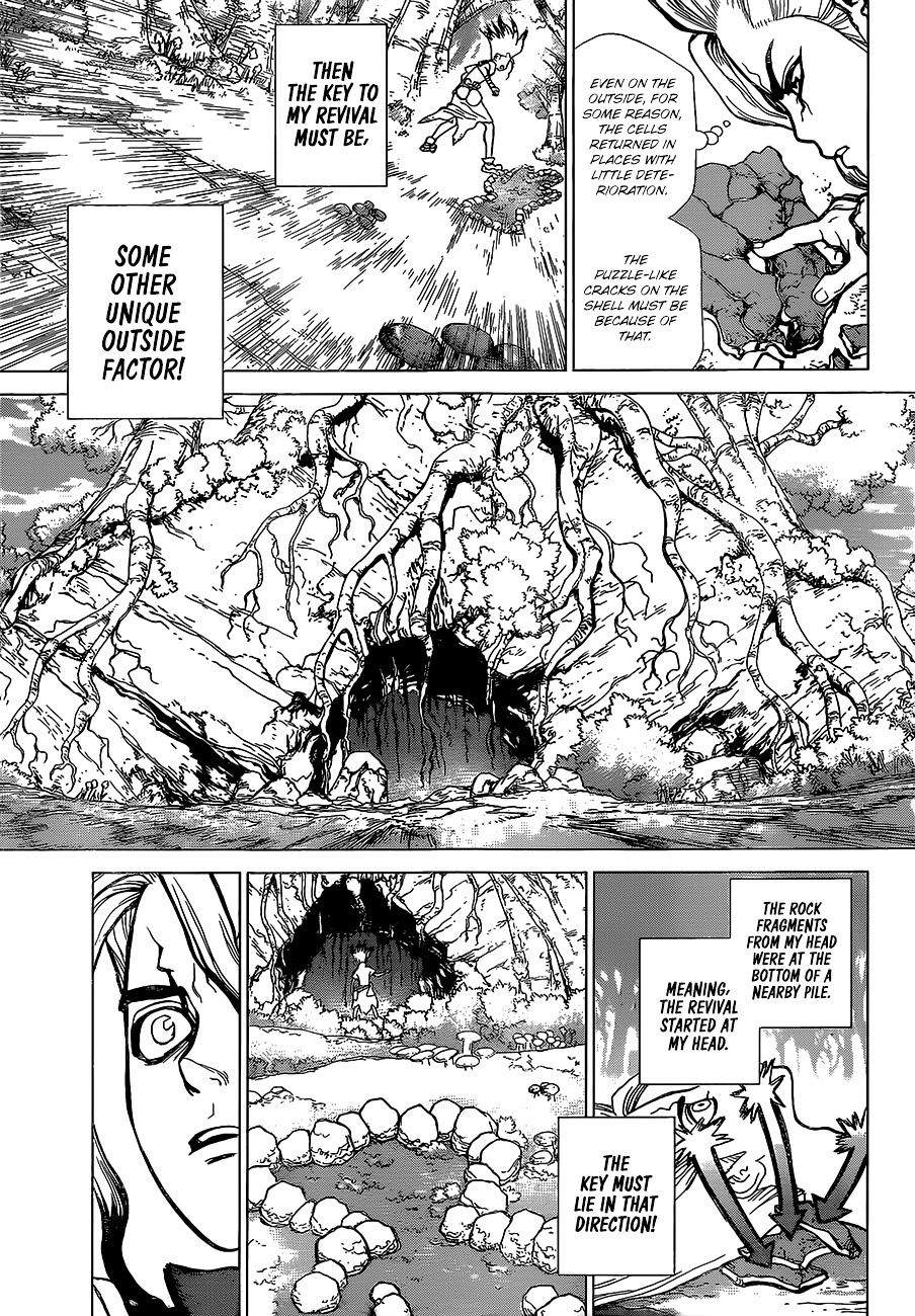 Dr.Stone, Chapter 14  Things Believed In image 09