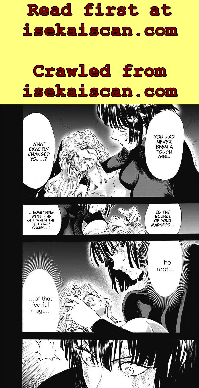 One Punch Man, Chapter 176 image 10