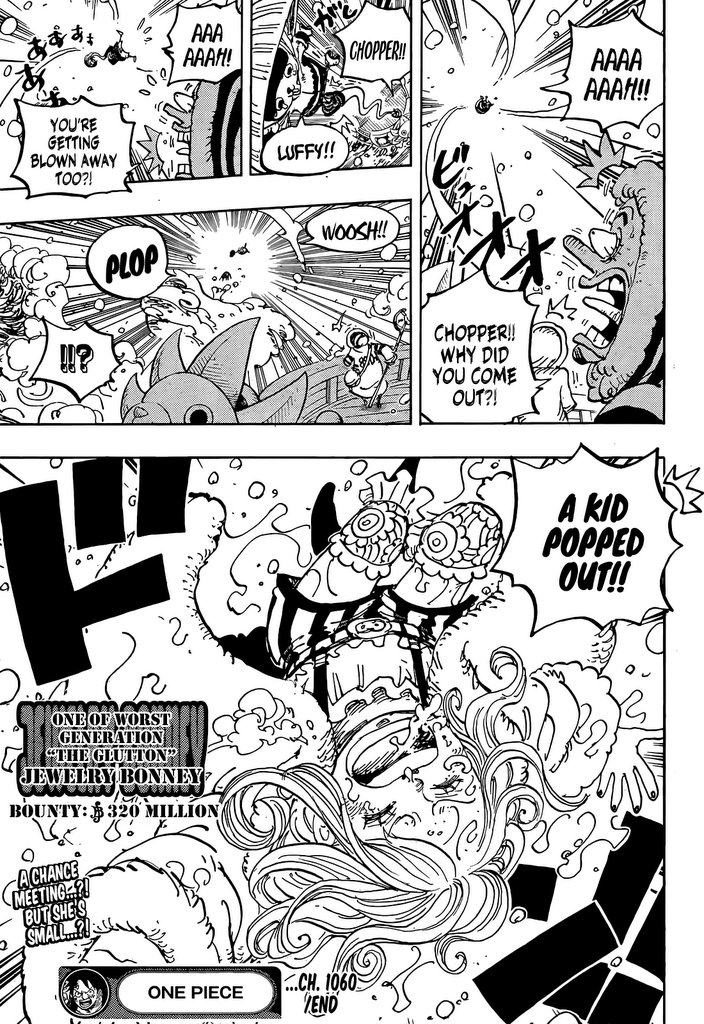 One Piece, chapter 1060 image 18