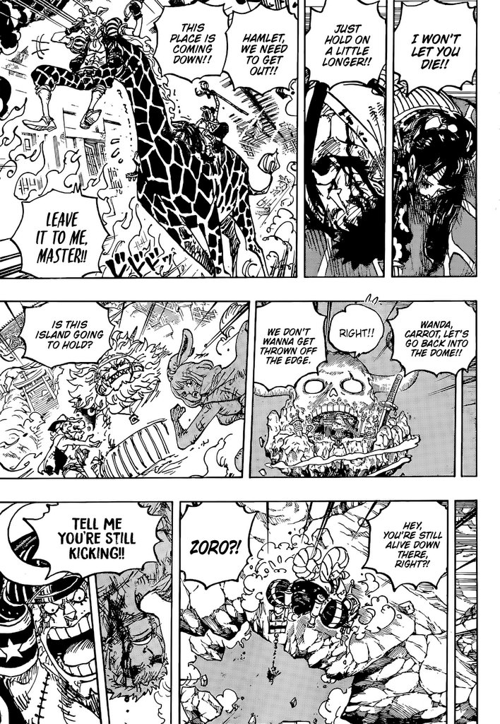 One Piece, chapter 1041 image 12
