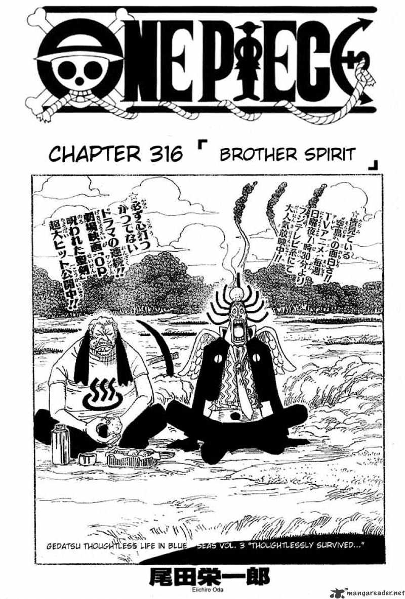 One Piece, chapter 316 image 01