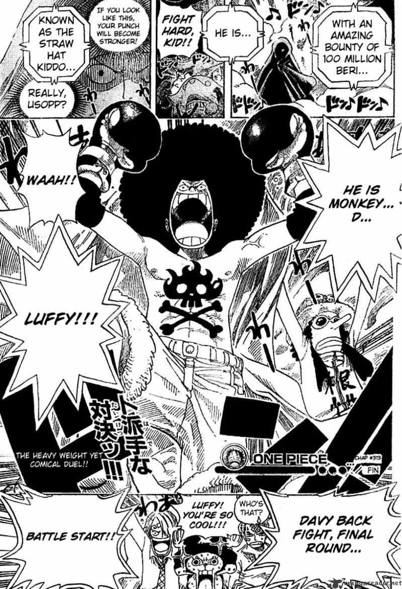 One Piece, chapter 313 image 19