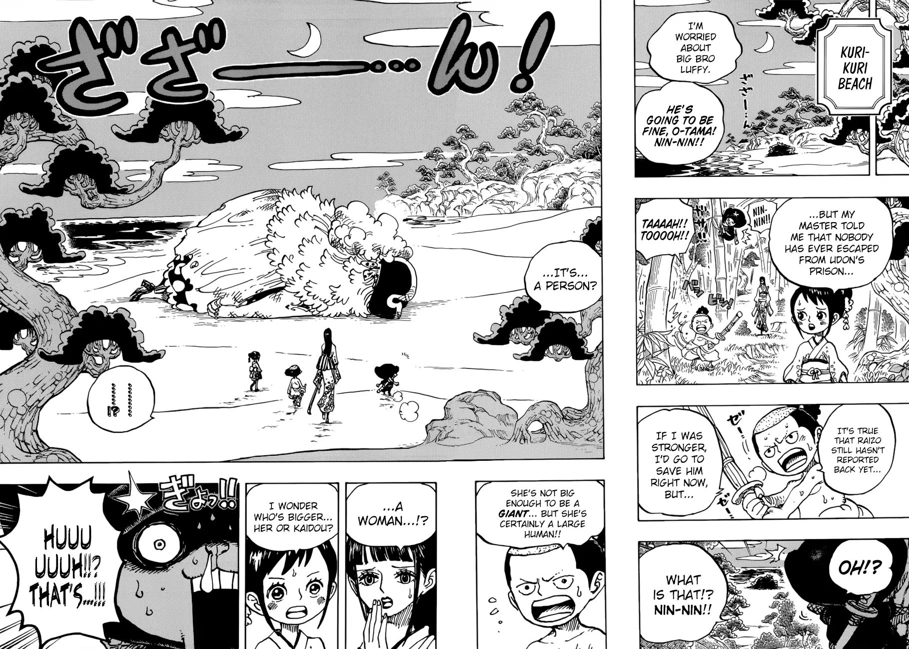 One Piece, chapter 931 image 14