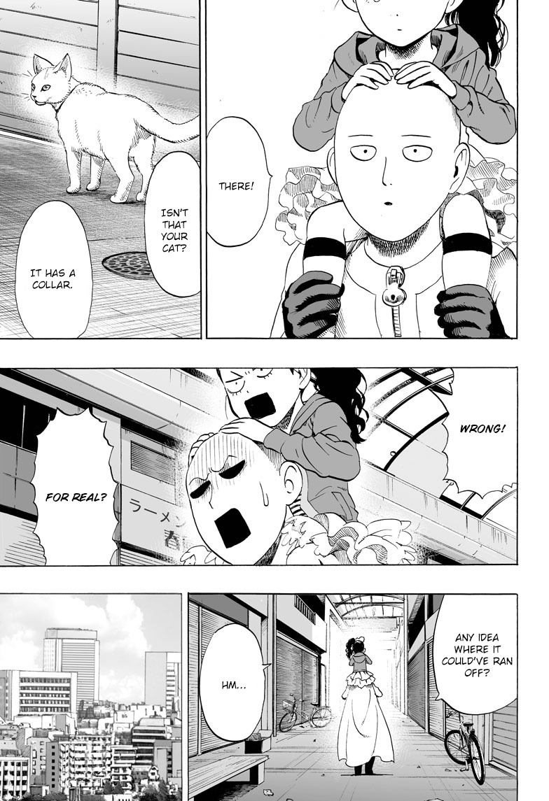 One Punch Man, Chapter 40.1 Lost Cat image 11