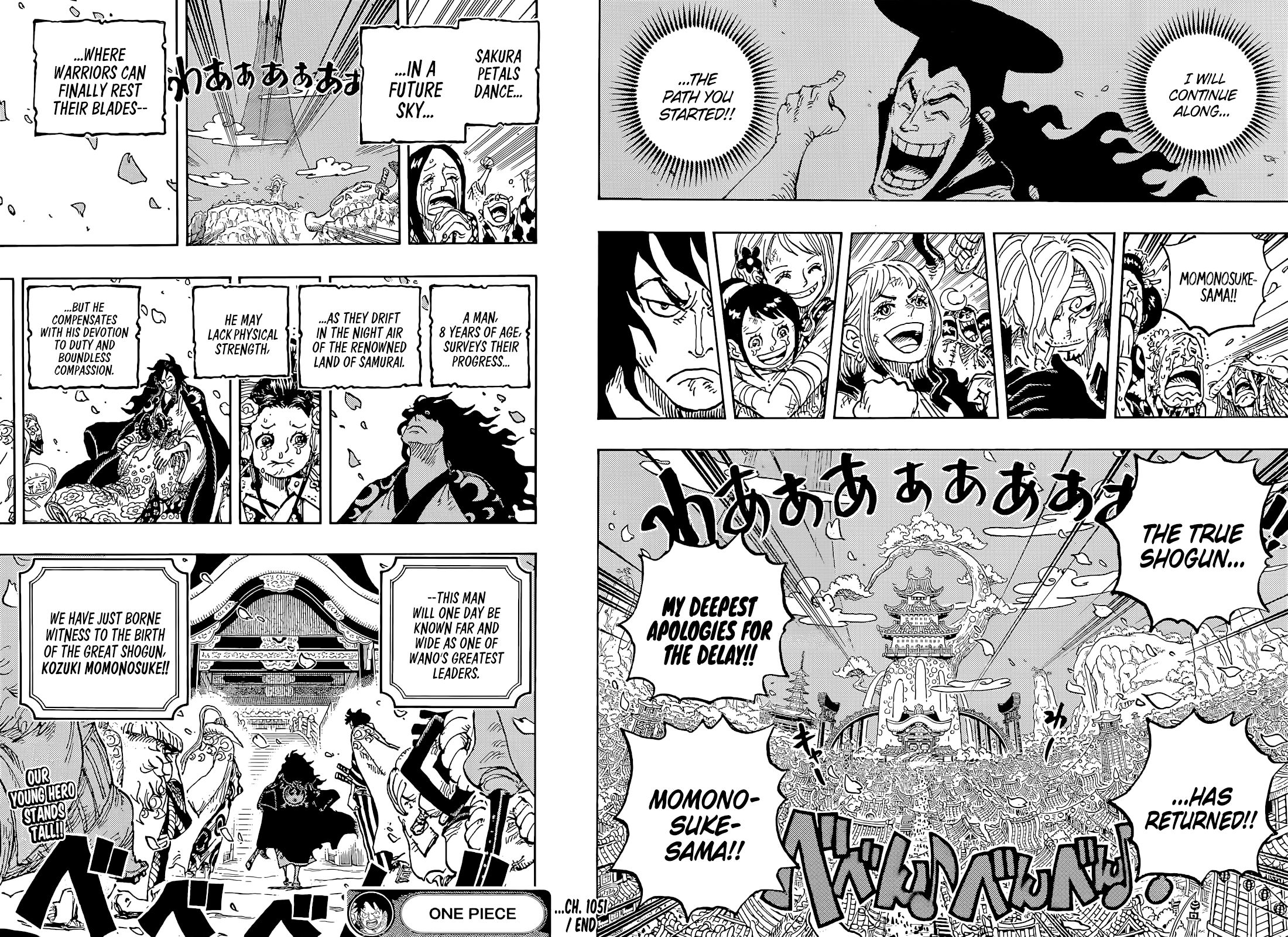 One Piece, chapter 1051 image 16