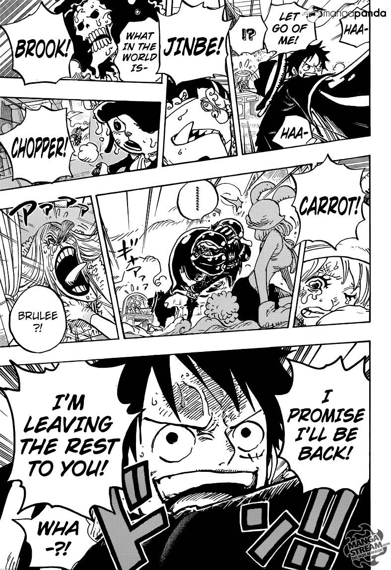 One Piece, chapter 878 image 16