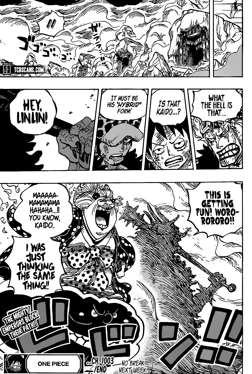One Piece, chapter 1003 image 14