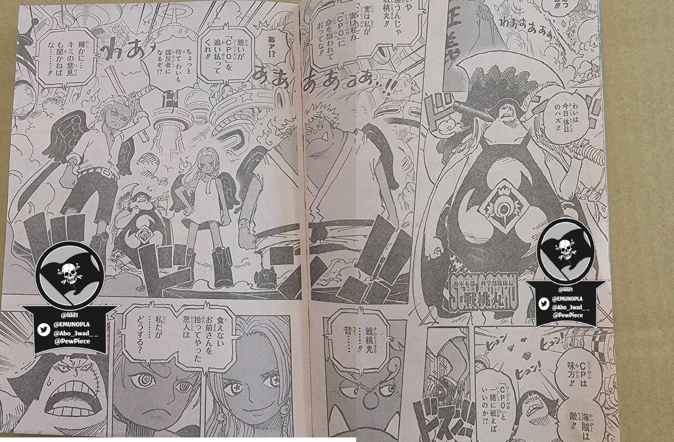 One Piece, chapter 1069 image 12