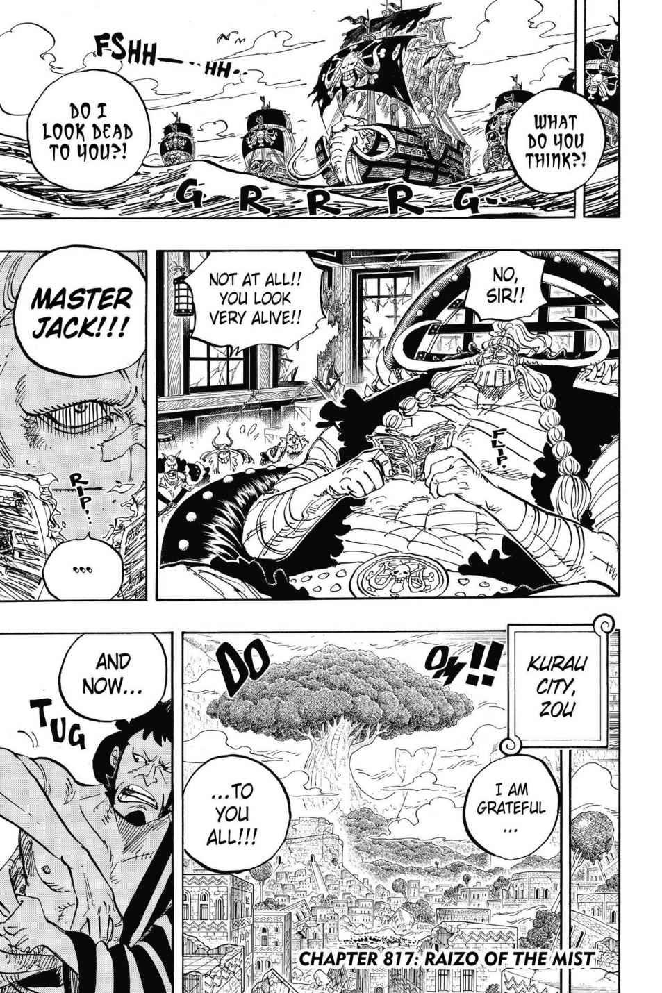 One Piece, Chapter 817 image 10