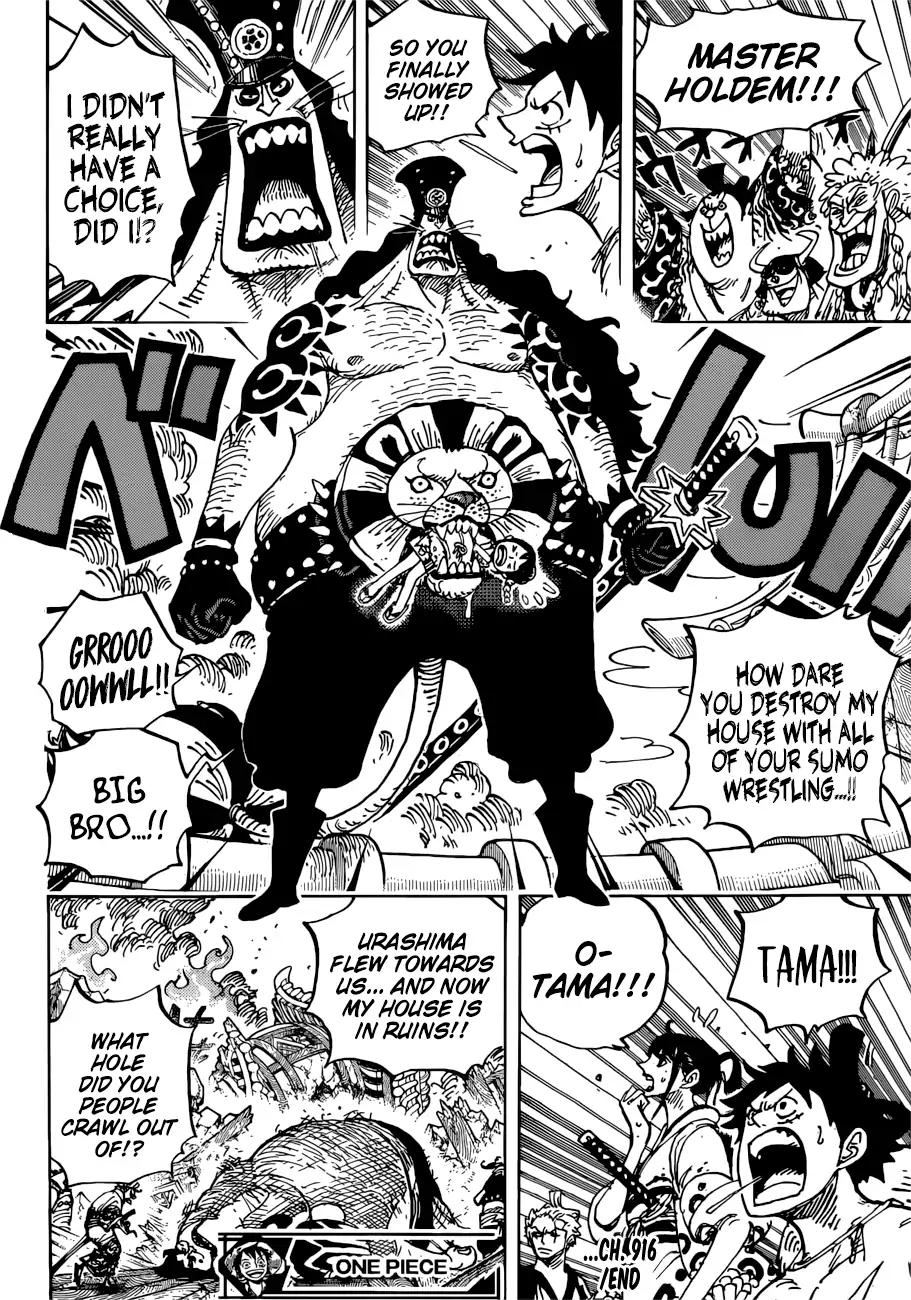 One Piece, chapter 916 image 18