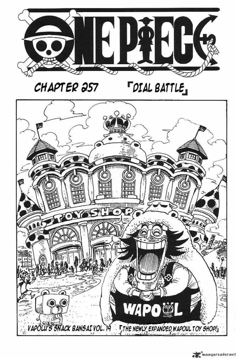One Piece, chapter 257 image 01