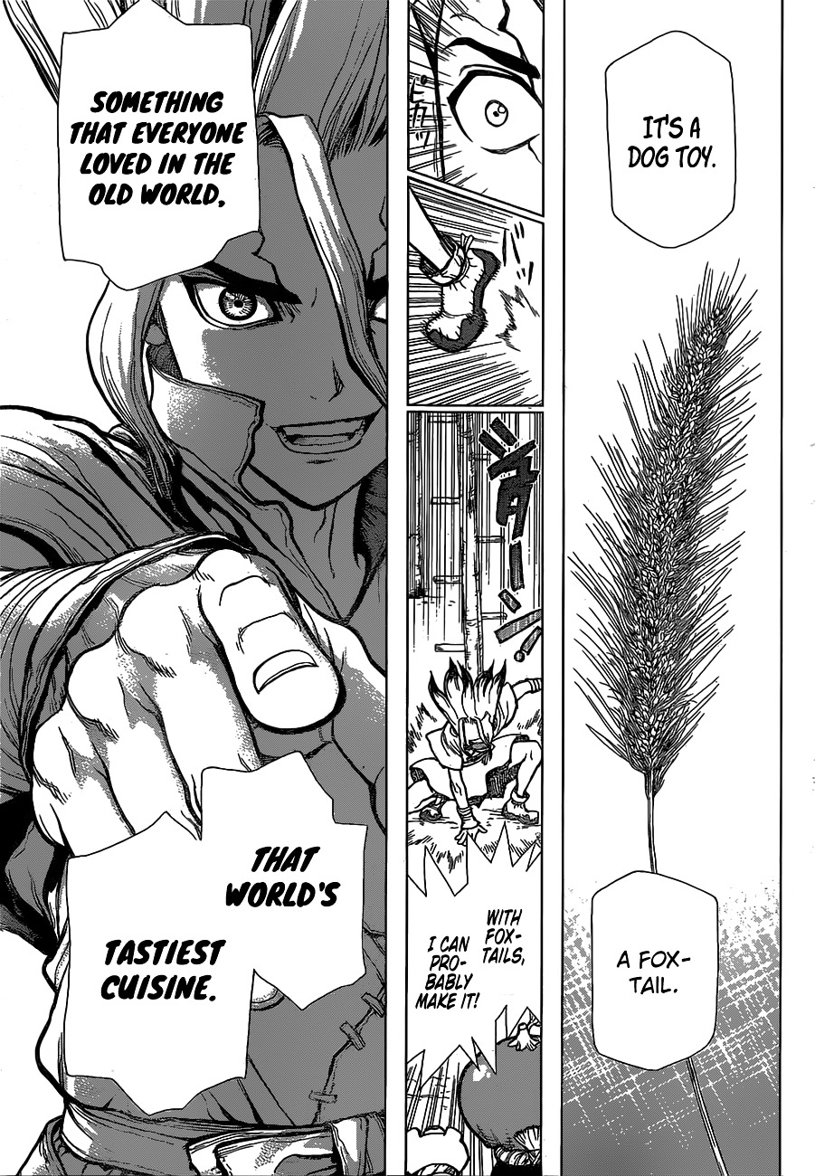 Dr.Stone, Chapter 22  Survival Gourmet image 10