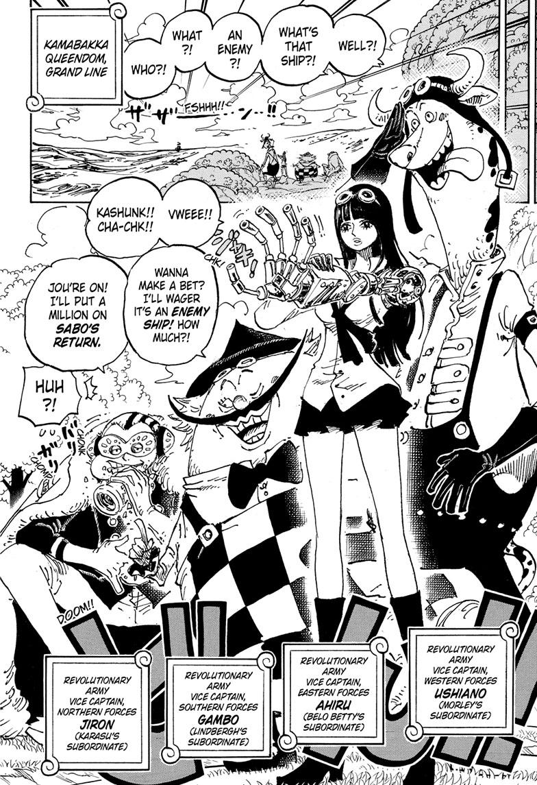 One Piece, Chapter 1082 image 12